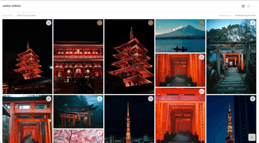 Gallery type selection screen in PixiProof
